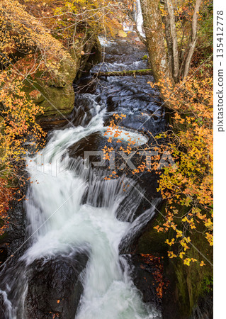 Scenery around Ryuzu Falls, Chuguji Shrine, Nikko City, Tochigi Prefecture 135412778