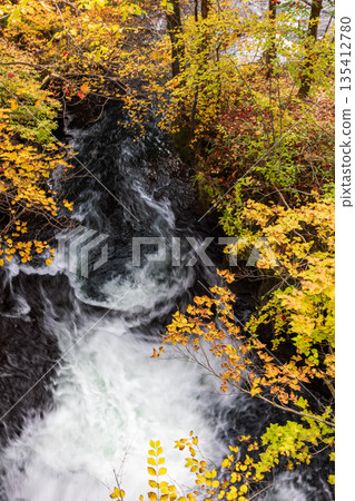 Scenery around Ryuzu Falls, Chuguji Shrine, Nikko City, Tochigi Prefecture 135412780
