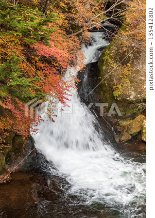 Scenery around Ryuzu Falls, Chuguji Shrine, Nikko City, Tochigi Prefecture 135412802