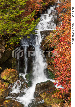Scenery around Ryuzu Falls, Chuguji Shrine, Nikko City, Tochigi Prefecture Scenery around Ryuzu Falls, Chuguji Shrine, Nikko City, Tochigi Prefecture 135412810