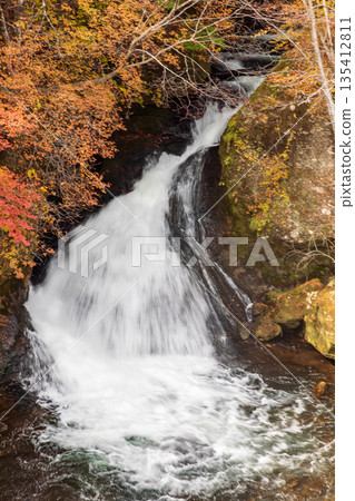 Scenery around Ryuzu Falls, Chuguji Shrine, Nikko City, Tochigi Prefecture 135412811