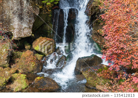 Scenery around Ryuzu Falls, Chuguji Shrine, Nikko City, Tochigi Prefecture Scenery around Ryuzu Falls, Chuguji Shrine, Nikko City, Tochigi Prefecture 135412813