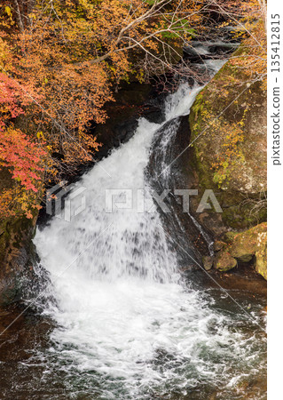 Scenery around Ryuzu Falls, Chuguji Shrine, Nikko City, Tochigi Prefecture 135412815