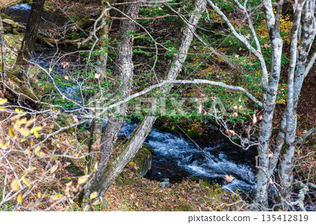 Scenery around Ryuzu Falls, Chuguji Shrine, Nikko City, Tochigi Prefecture Scenery around Ryuzu Falls, Chuguji Shrine, Nikko City, Tochigi Prefecture 135412819