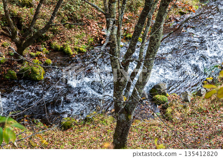 Scenery around Ryuzu Falls, Chuguji Shrine, Nikko City, Tochigi Prefecture 135412820