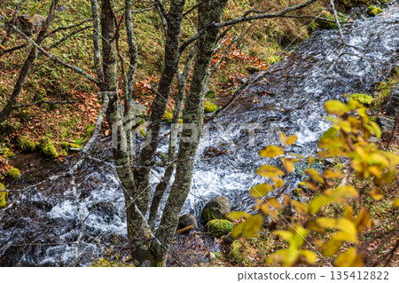 Scenery around Ryuzu Falls, Chuguji Shrine, Nikko City, Tochigi Prefecture 135412822