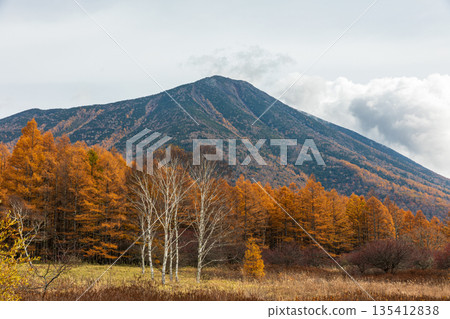 Nakamiya Shrine, Nikko City, Tochigi Prefecture. Scenery around Mt. Nantai. 135412838