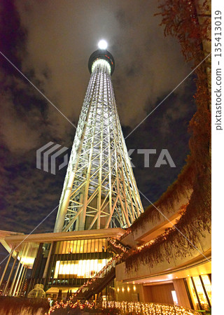 Christmas color sky tree 135413019