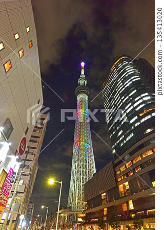 Christmas color sky tree Christmas color sky tree 135413020