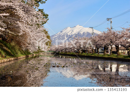 弘前公園是著名的賞櫻勝地，岩城山和櫻花樹倒映在外護城河。 135413193