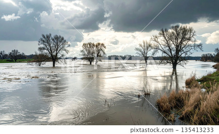 Flooded River Landscape Flooded River Landscape 135413233