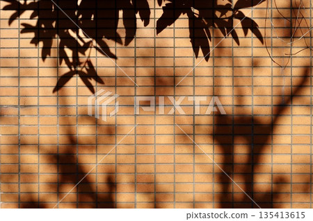 Shadows of trees and silhouettes of leaves reflected on a brick tile wall 135413615