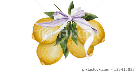 Lemons watercolor. Hand drawn tropical sour fruit with an elegant ribbon bow. Clip art of juicy yellow lime. Citrus on isolated white background. Ideal for logo and packaging of natural cosmetics Lemons watercolor. Hand drawn tropical sour fruit with an elegant ribbon bow. Clip art of juicy yellow lime. Citrus on isolated white background. Ideal for logo and packaging of natural cosmetics 135413885