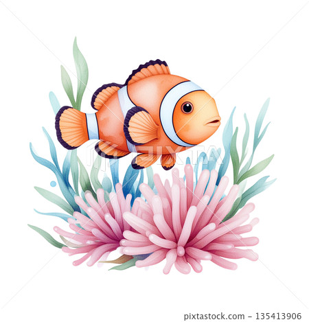 粉紅海葵與小丑魚水彩插圖 135413906