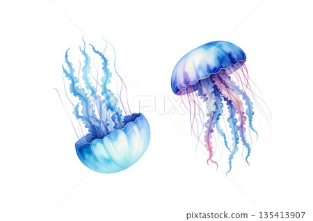 藍色水母水彩插圖 135413907