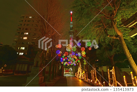 發光竹工藝品與晴空塔的合作 發光竹工藝品與晴空塔的合作 135413973