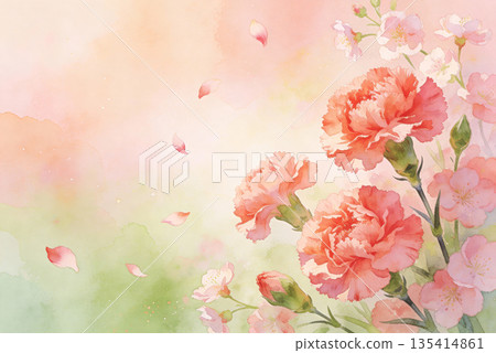 Watercolor spring background material with pale pink carnations 135414861