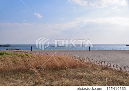 神戶須磨海濱公園的大海和防波堤 135414863