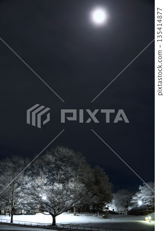 冬夜裡一輪滿月,雪景籠罩著夜空。 冬夜裡一輪滿月,雪景籠罩著夜空。 135414877