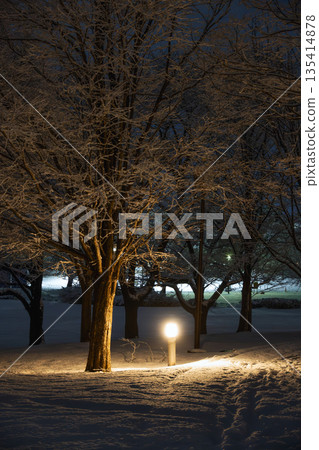 雪道上的光影紋理 雪道上的光影紋理 135414878