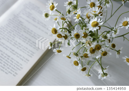 洋甘菊和一本書的特寫。自然光下的桌面照片。 135414950