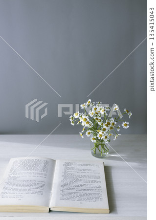 洋甘菊和一本打開的書。灰色背景上的簡潔靜物畫。留白。 135415043
