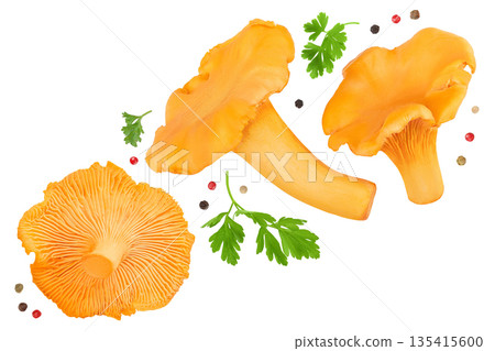 Chanterelle mushroom isolated on a white background. Top view. Flat lay 135415600