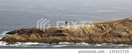 Small sculpture on a peninsula by Hercules Tower in La Coruna, Spain 135415720