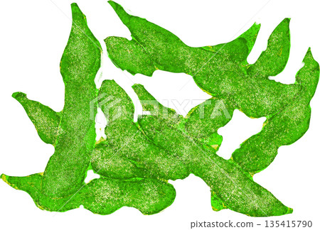 山形特產達達茶豆 135415790