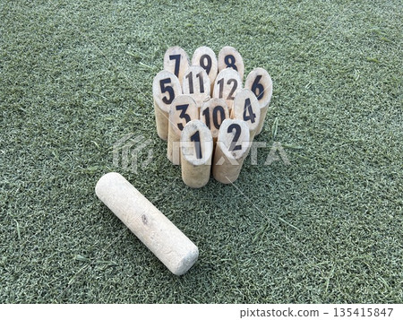 Sports with friends and family Sports with friends and family 135415847