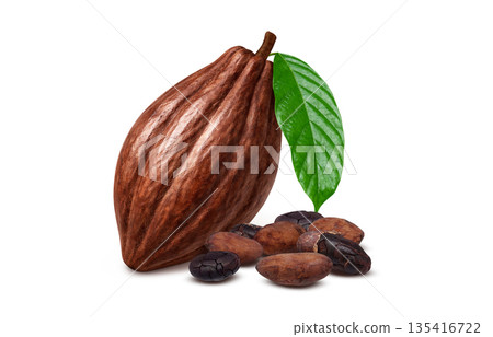可可豆可可碎粒插圖寫實 可可豆可可碎粒插圖寫實 135416722