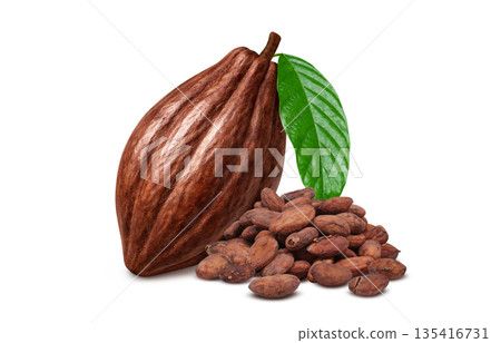 可可豆可可碎粒插圖寫實 135416731