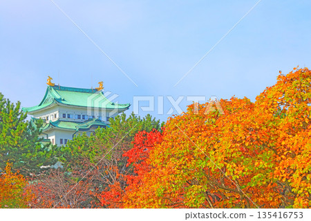 愛知縣名古屋市名古屋城的秋景 135416753