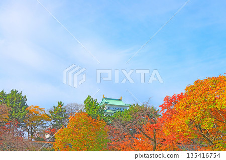 愛知縣名古屋市名古屋城的秋景 135416754