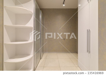 minimalist entryway closet with builtin shelving and mirrored door minimalist entryway closet with builtin shelving and mirrored door 135416969