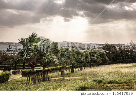 A fantastic windy landscape A fantastic windy landscape 135417039
