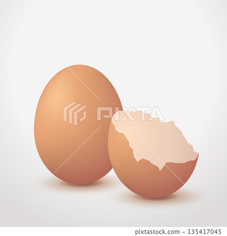 Broken Eggshell Vector With Whole And Cracked Broken Eggshell Vector With Whole And Cracked 135417045