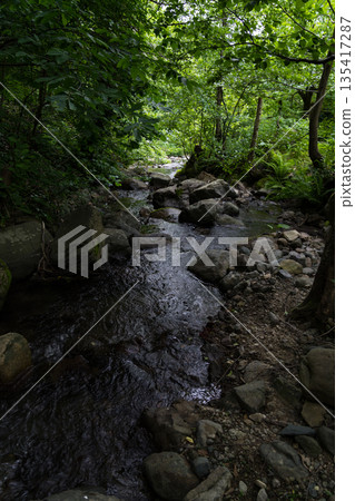 small river in the forest between the stones, Georgia 135417287