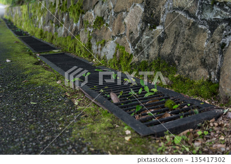 The drain is overgrown with moss 135417302