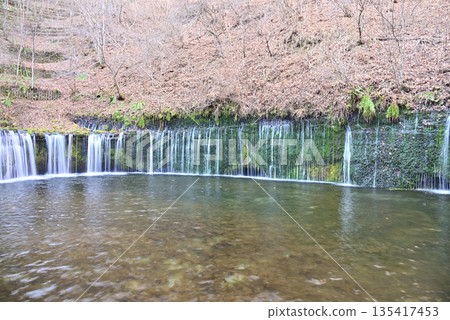 白絲瀑布～深秋的輕井澤風景～ 135417453