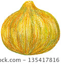 洋蔥插圖油畫棒畫 135417816