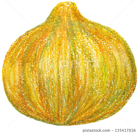 洋蔥插圖油畫棒畫 135417816