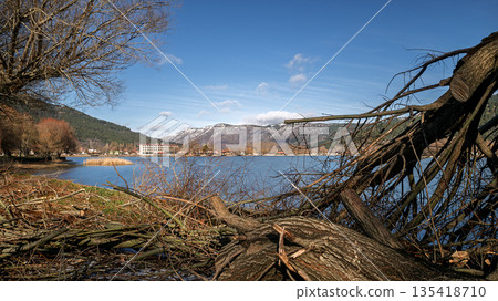 Natural Lake and Reeds Landscape in Golcuk, Odemis, Izmir, Turkey 135418710