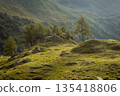 Peaceful Alpine Valley in the Swiss Alps with Green Hills and Larch Trees 135418806
