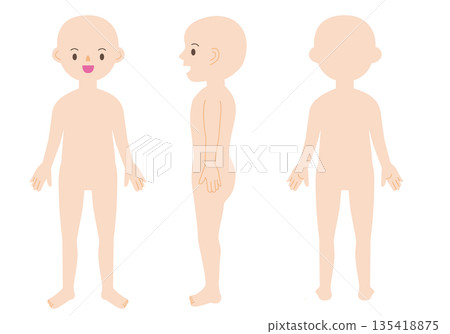 whole body human body 135418875