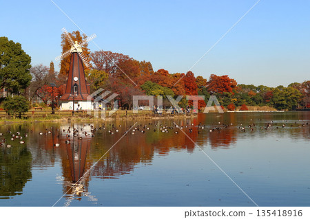 秋天的浮間公園:浮間池和風車(東京都北區/板橋區) 秋天的浮間公園:浮間池和風車(東京都北區/板橋區) 135418916