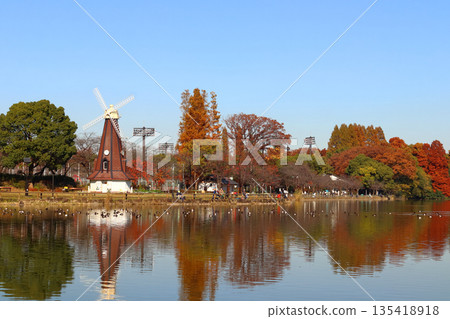 秋天的浮間公園:浮間池和風車(東京都北區/板橋區) 秋天的浮間公園:浮間池和風車(東京都北區/板橋區) 135418918