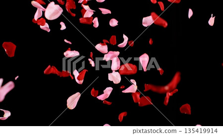 Freeze motion of flying rose petals isolated on black background. Freeze motion of flying rose petals isolated on black background. 135419914