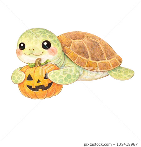 【萬聖節】色鉛筆插畫,一隻海龜拿著一個南瓜燈 【萬聖節】色鉛筆插畫,一隻海龜拿著一個南瓜燈 135419967
