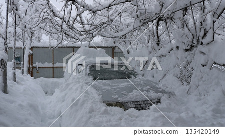 A gray car covered in abundant, deep snow, standing under a grapevine in a private yard, partially cleared of snowdrifts after a severe winter storm; excavating the car after an abnormal snowfall. 135420149